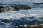 PICTURES/La Jolla Cove/t_La JOlla Cove6.JPG